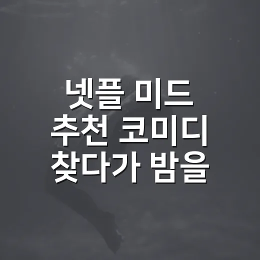 넷플 미드 추천 코미디 찾다가 밤을 새웠다 - 요약