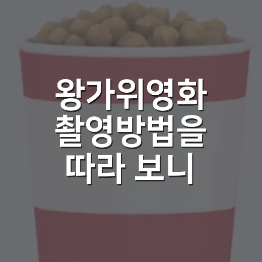 왕가위영화 촬영방법을 따라 보니 빛보다 거리가 먼저 보였다 - 요약