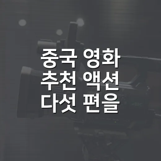 중국 영화 추천 액션 다섯 편을 다시 골라봤다 - 요약