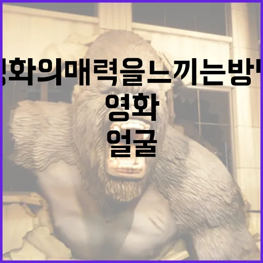 얼굴 영화의 매력을 느끼는 방법 - 요약