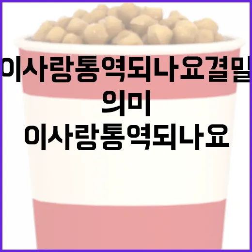 이사와 통역, 그 사이의 이야기: '이사랑통역되나요' 결말의 의미 - 요약