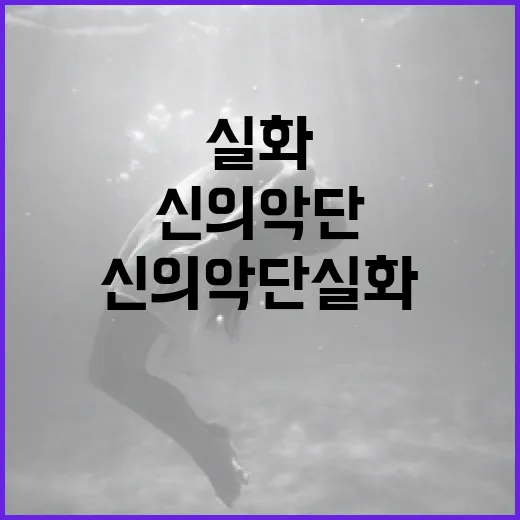 신의악단 실화에 대해 알아보는 방법 - 요약