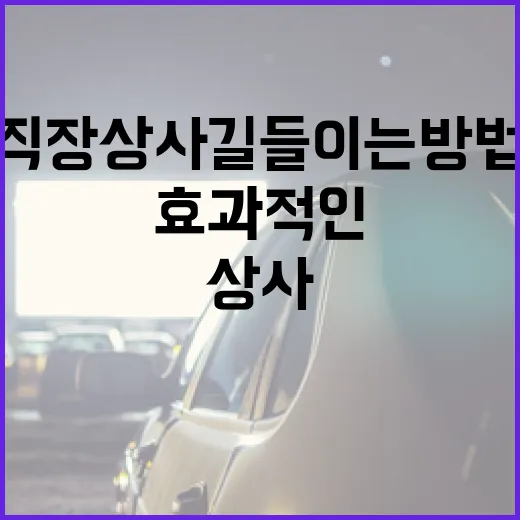 직장상사 길들이는 방법: 효과적인 커뮤니케이션 전략 - 요약