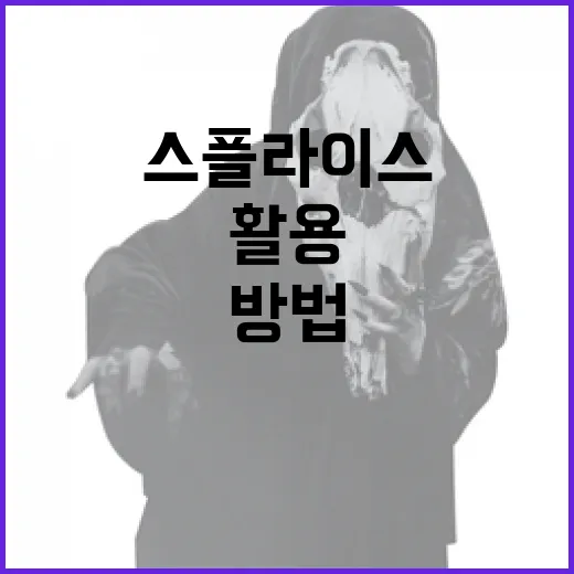 스플라이스를 활용하여 음악을 만드는 방법 - 요약