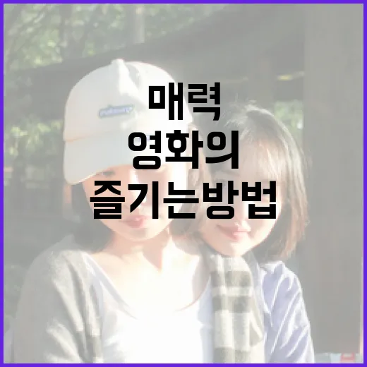 얼굴 영화의 매력을 즐기는 방법 - 요약