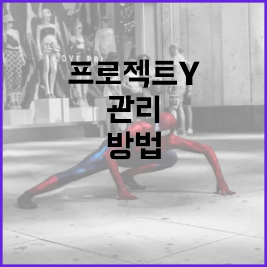 효과적으로 프로젝트Y를 관리하는 방법 - 요약
