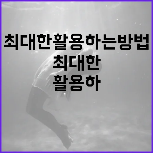 하우스메이드 서비스를 최대한 활용하는 방법 - 요약