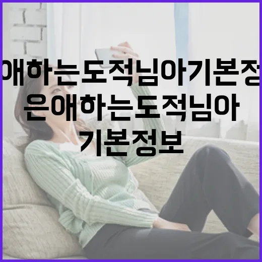 은애하는도적님아 기본정보 알아보는 방법 - 요약