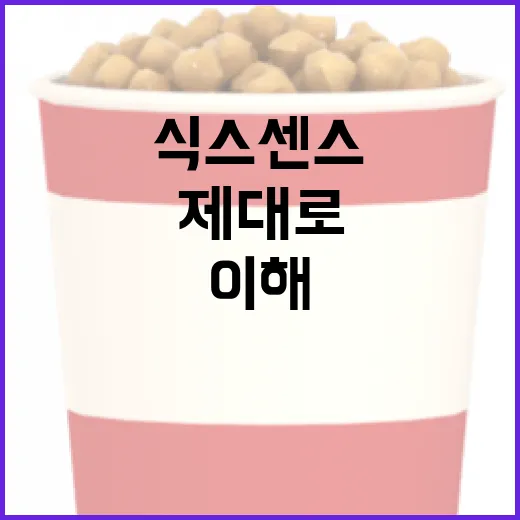 식스센스를 제대로 …