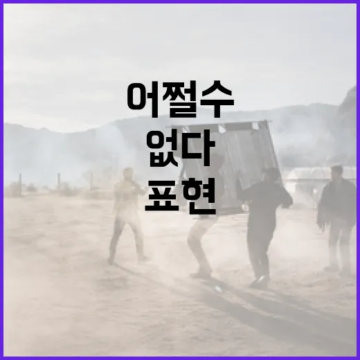 어쩔 수가 없다: 이 표현을 이해하고 사용하는 방법 - 요약