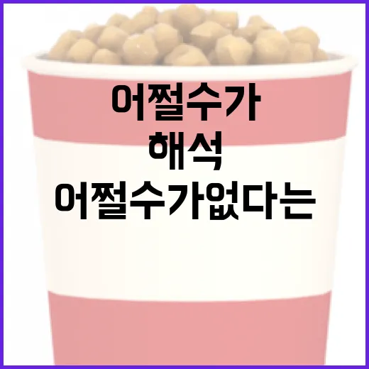 어쩔 수가 없다는 표현을 해석하는 방법 - 요약