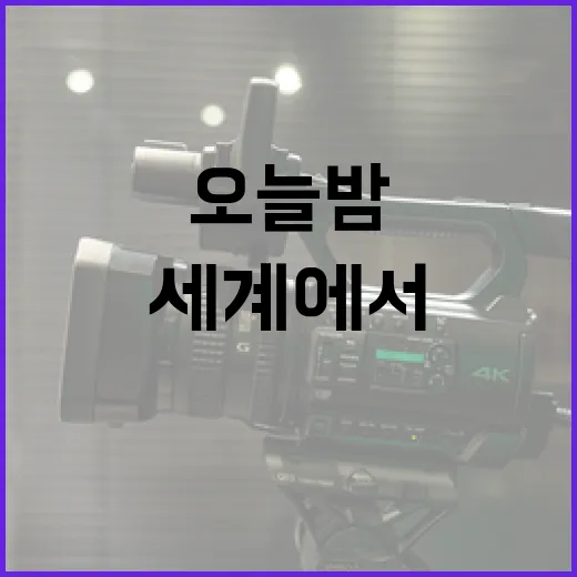 오늘밤 이세계에서 살아남는 방법 - 요약