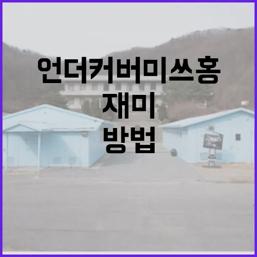 언더커버 미쓰홍을 더욱 재미있게 즐기는 방법 - 요약