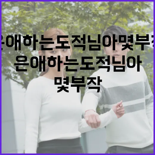 은애하는 도적님아 몇부작인지 알아보는 방법 - 요약