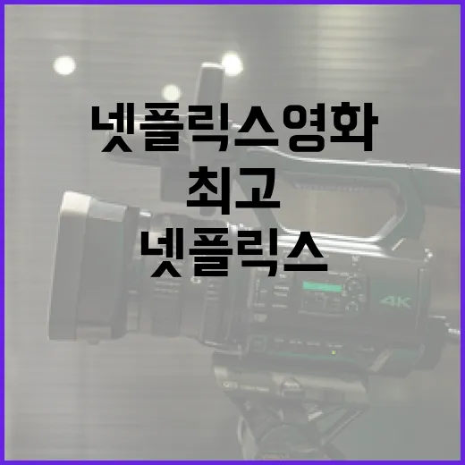 최고의 넷플릭스 영화를 추천받는 방법 - 요약