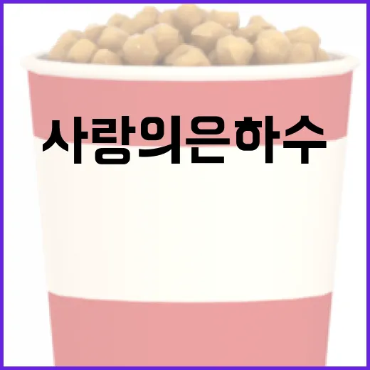 사랑의은하수에 대해 알아보는 방법 - 요약