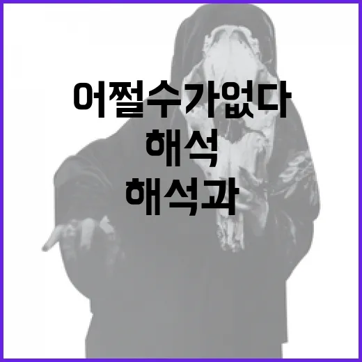 어쩔 수가 없다의 해석과 활용 방법 - 요약