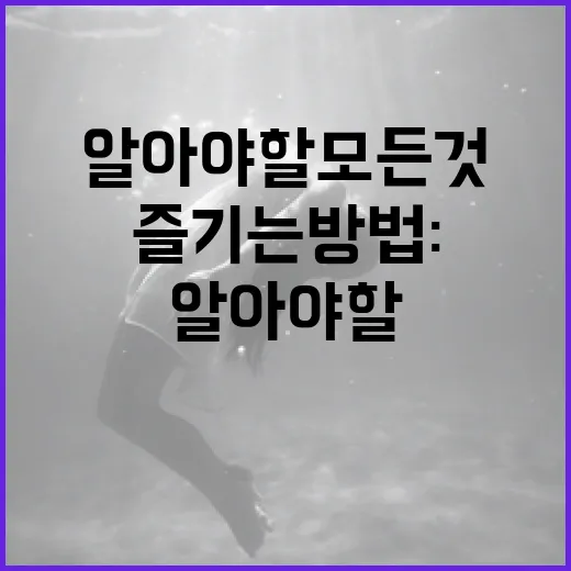 베테랑3를 즐기는 방법: 알아야 할 모든 것 - 요약