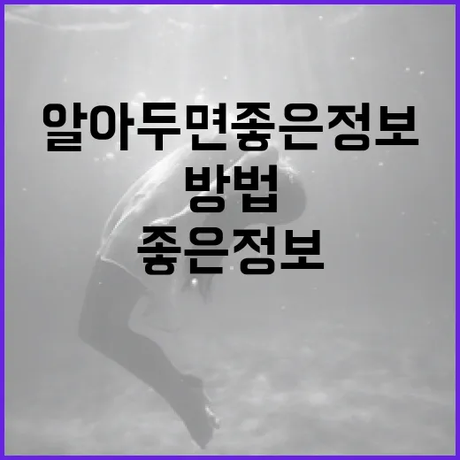 휴민트 결말을 이해하는 방법: 알아두면 좋은 정보 - 요약