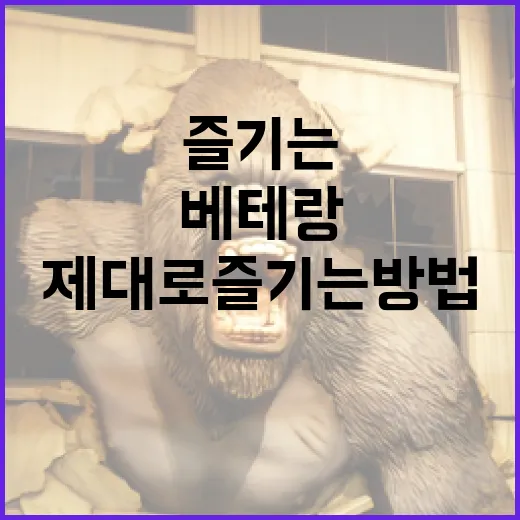 베테랑2를 제대로 …