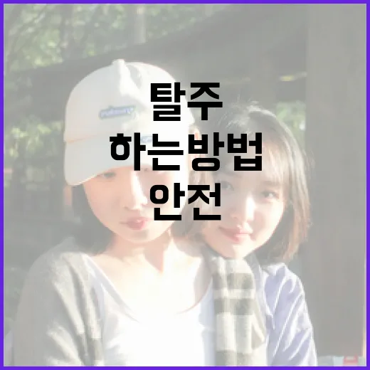 탈주를 안전하게 하는 방법 - 요약