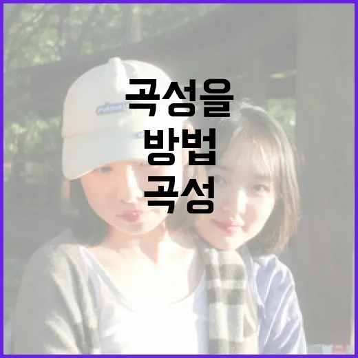 곡성을 깊이 이해하는 방법 - 요약