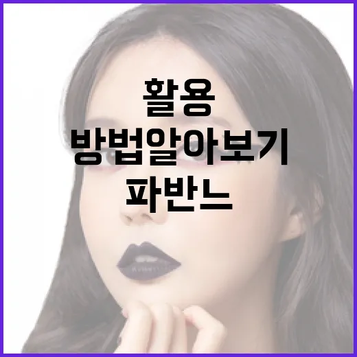 파반느의 의미와 활용 방법 알아보기 - 요약