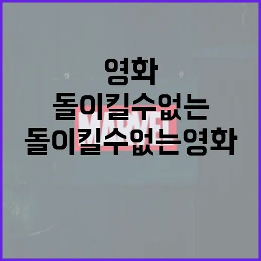 돌이킬 수 없는 영화 제대로 이해하는 방법 - 요약