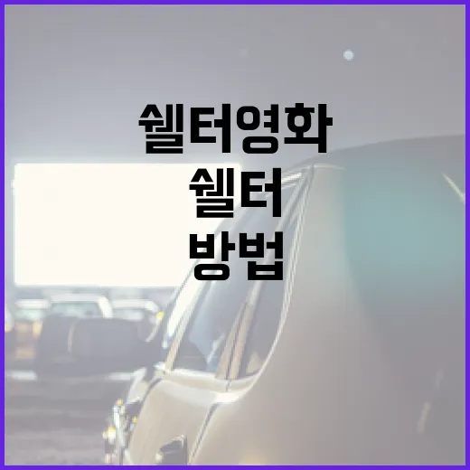 쉘터 영화를 제대로 이해하는 방법 - 요약
