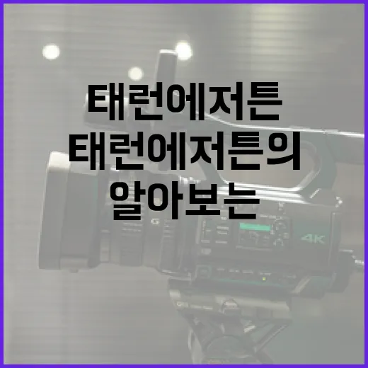 태런 에저튼의 매력을 알아보는 방법 - 요약