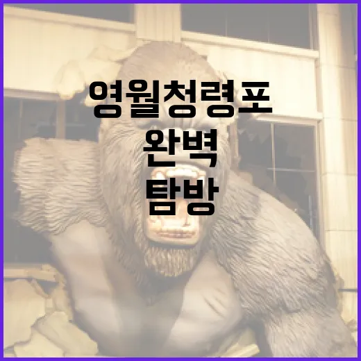 영월 청령포를 완벽하게 탐방하는 방법 - 요약