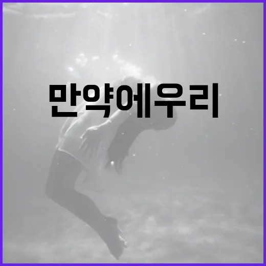 OTT 서비스를 선택하는 방법: '만약에 우리'와 함께 - 요약