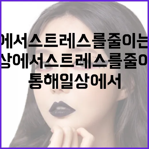 호퍼스를 통해 일상에서 스트레스를 줄이는 방법 - 요약