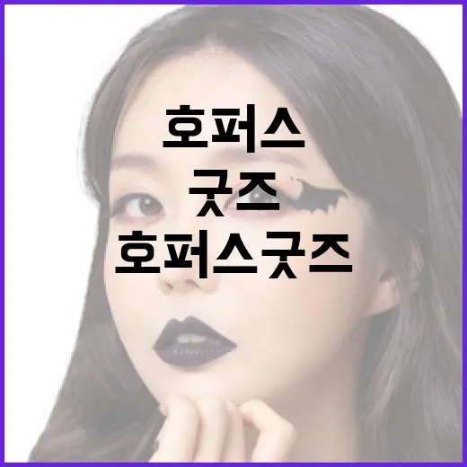 호퍼스 굿즈를 최대한 활용하는 방법 - 요약