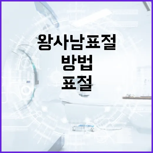 왕사남 표절 사건 이해하기: 표절의 위험성과 예방 방법 - 요약