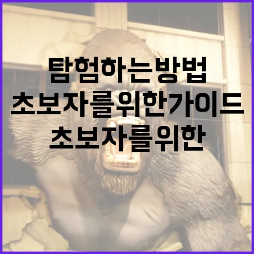 괴기맨숀을 탐험하는 방법: 초보자를 위한 가이드 - 요약