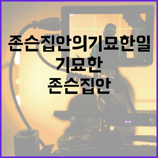 존슨 집안의 기묘한 일을 이해하는 방법 - 요약