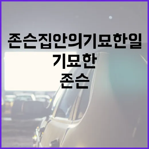 존슨 집안의 기묘한 일을 풀어내는 방법 - 요약