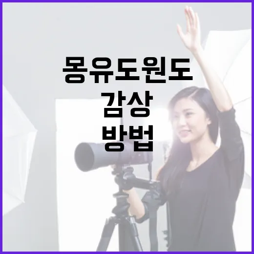 몽유도원도를 감상하고 이해하는 방법 - 요약