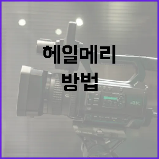 헤일메리를 효과적으로 사용하는 방법 - 요약