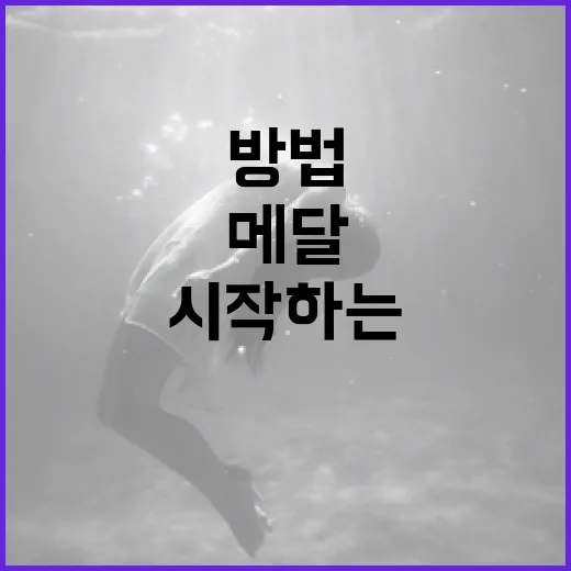 메달 제작을 시작하는 방법 - 요약