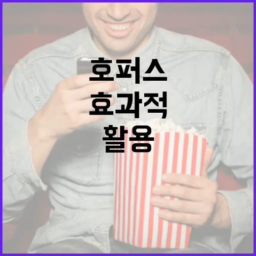 호퍼스를 활용하여 효과적으로 작업하는 방법 - 요약