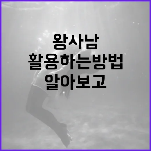 왕사남에 대해 알아보고 활용하는 방법 - 요약