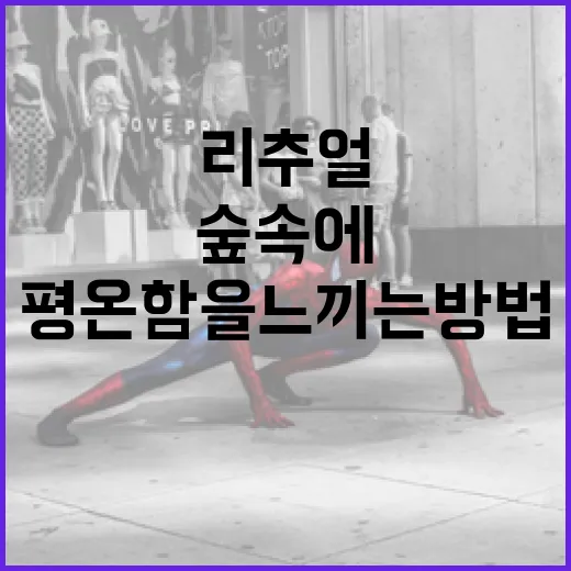 리추얼을 통해 숲속에 있는 듯한 평온함을 느끼는 방법 - 요약