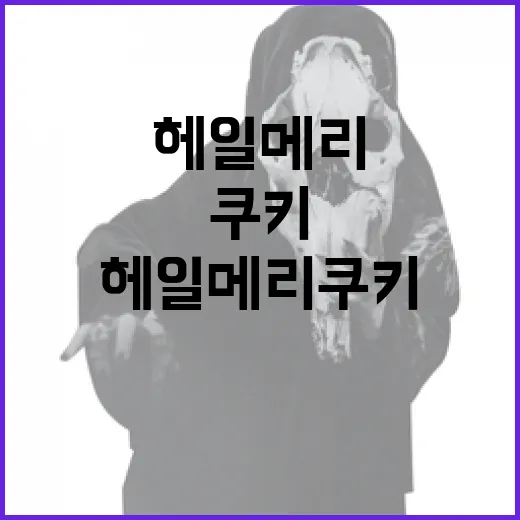 헤일메리 쿠키 만드는 방법: 맛있고 간단하게! - 요약