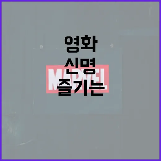 신명 영화를 즐기는 방법 - 요약