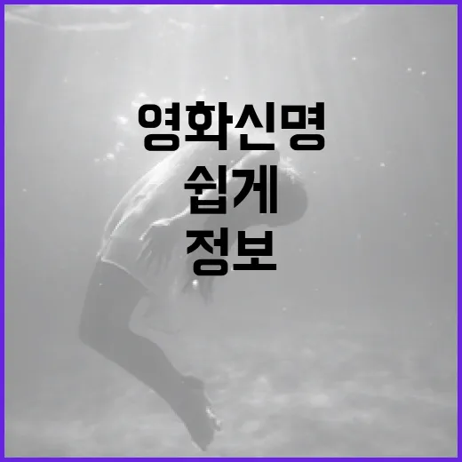 영화 신명 정보를 쉽게 찾는 방법 - 요약