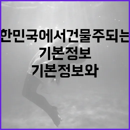 대한민국에서 건물주 되는 법: 기본 정보와 팁 - 요약