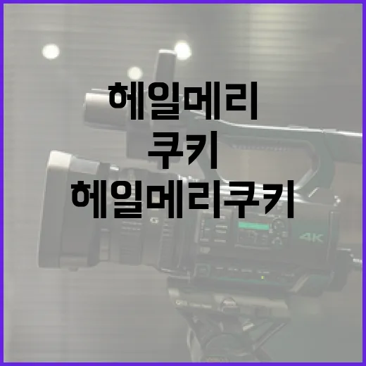 헤일메리 쿠키를 만드는 방법: 초보자를 위한 완벽 가이드 - 요약