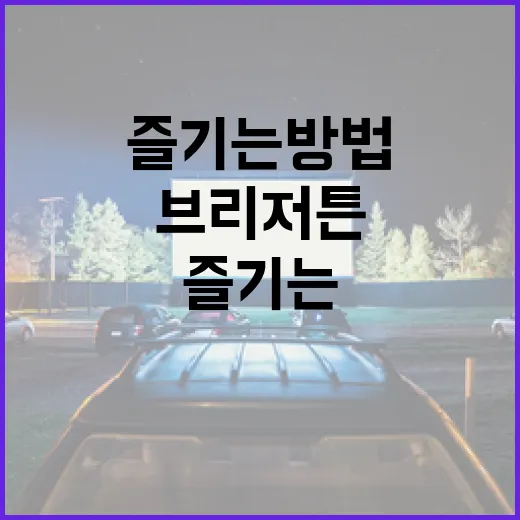 브리저튼을 최대한 즐기는 방법 - 요약